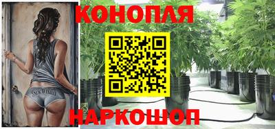 прущие грибы Волжск