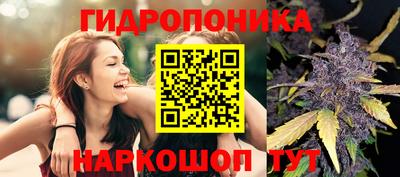 прущие грибы Волжск