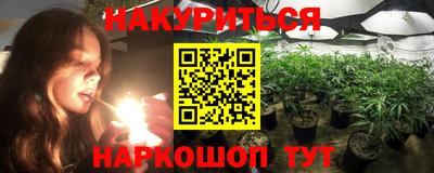 прущие грибы Волжск