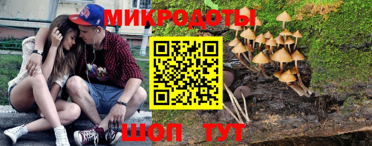 Псилоцибиновые грибы Magic Shrooms Магнитогорск